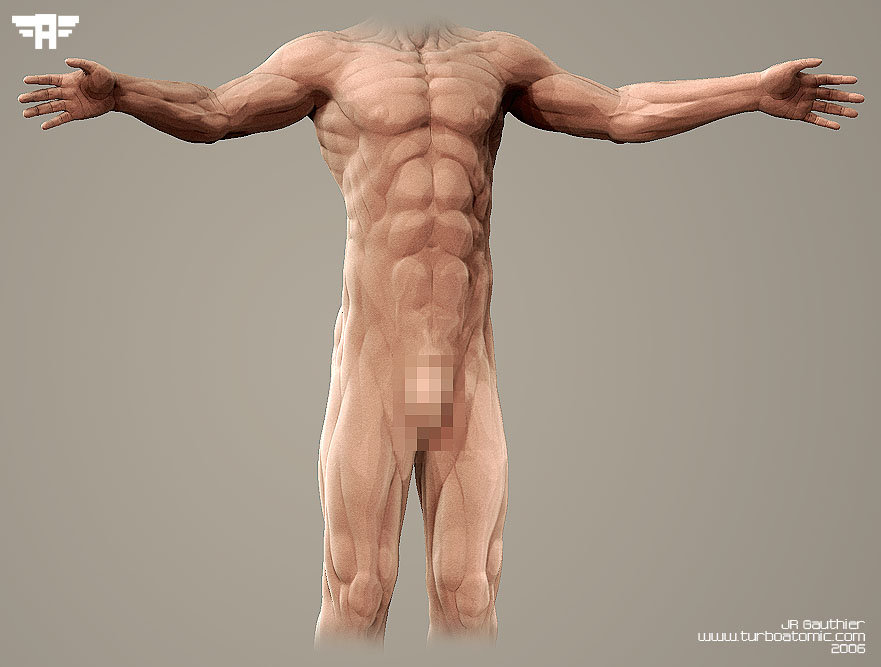 lower_bodyv4.jpg