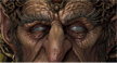 thumb.jpg