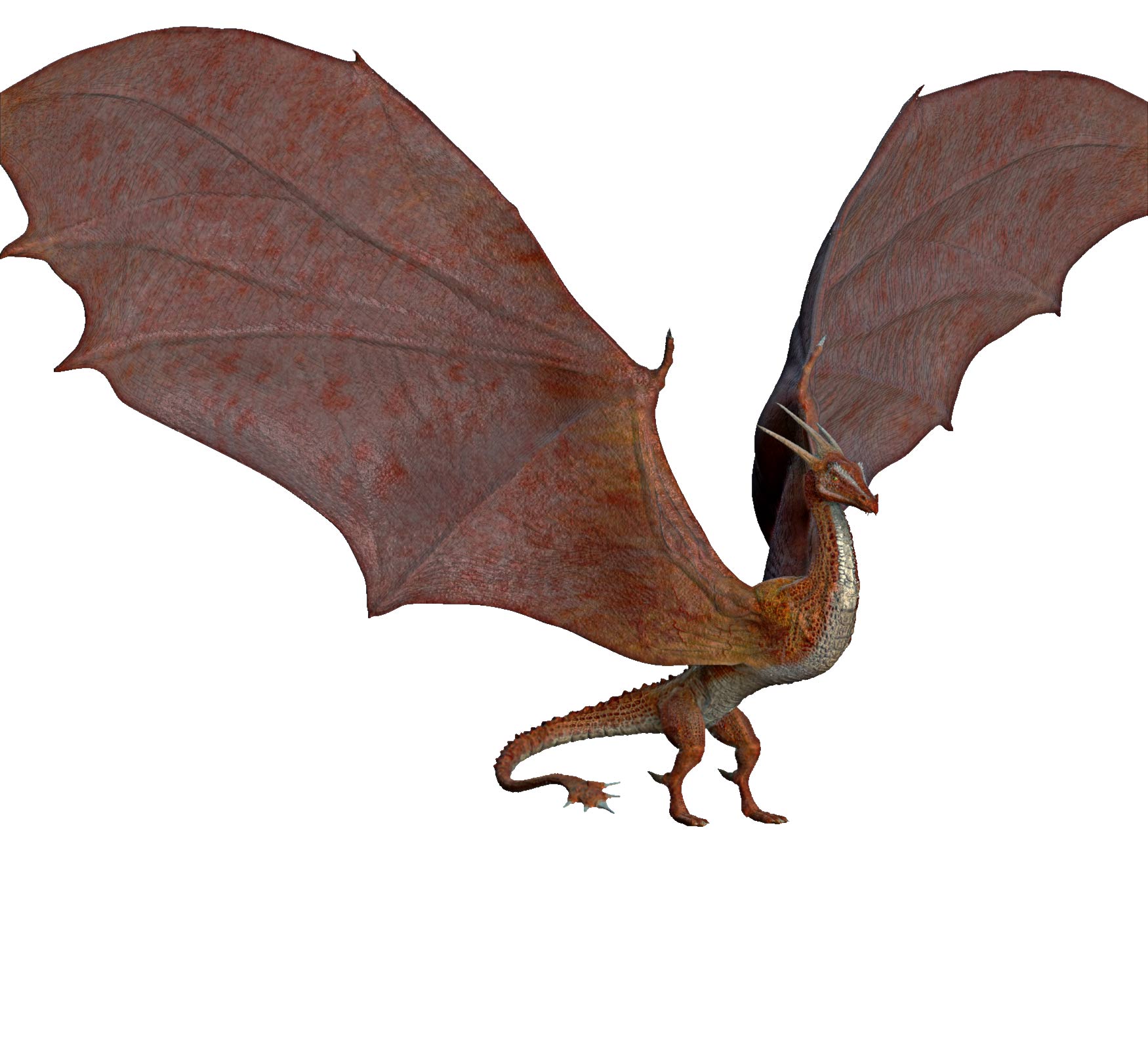 dragon_012.jpg