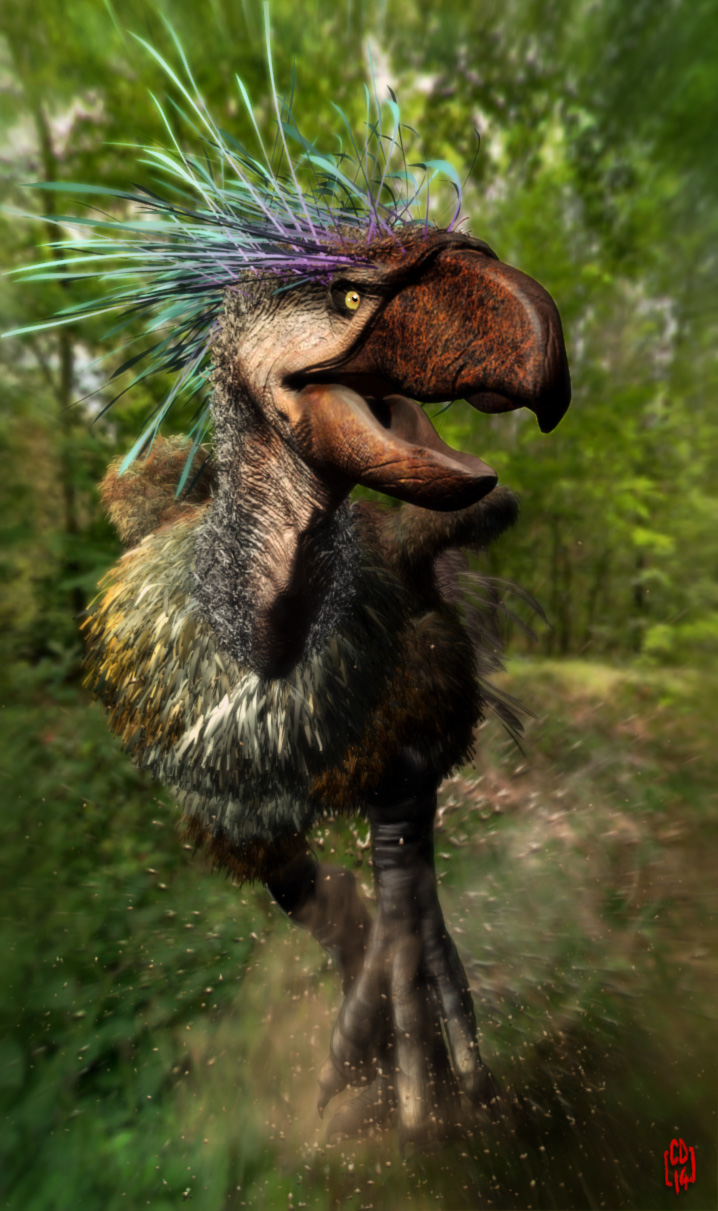 terrorbird.jpg