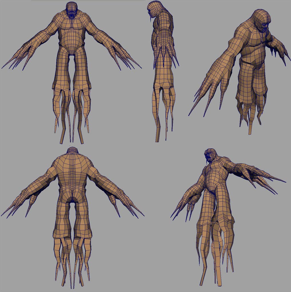 roots_web3.jpg