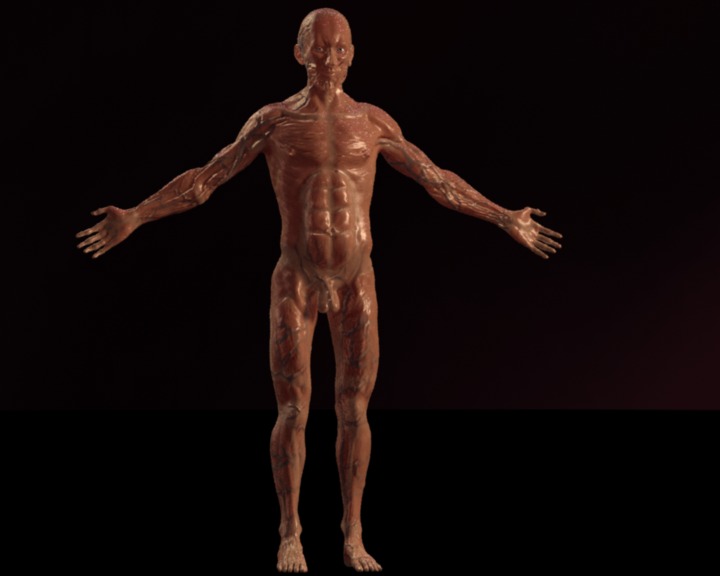 fullbody.jpg