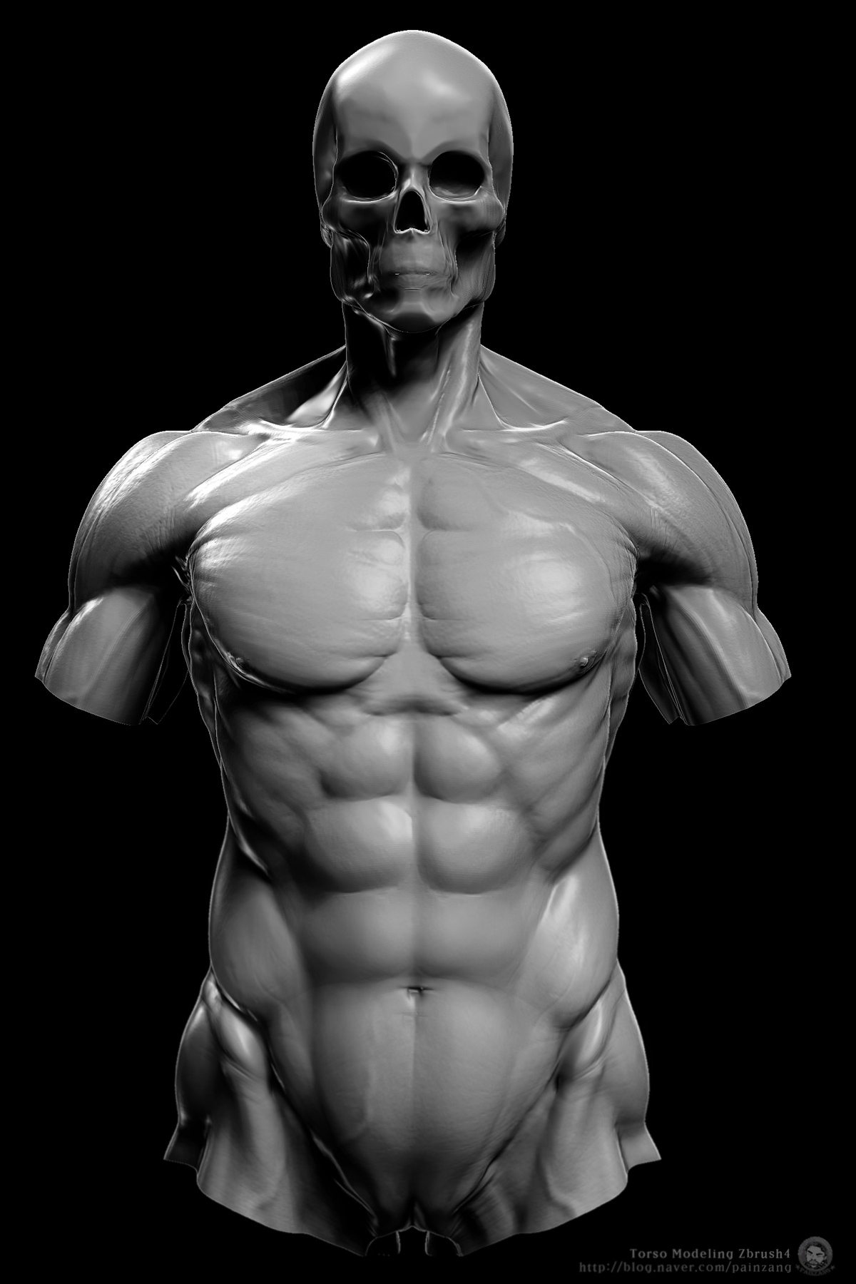 Torso_Modeling_Front1.jpg