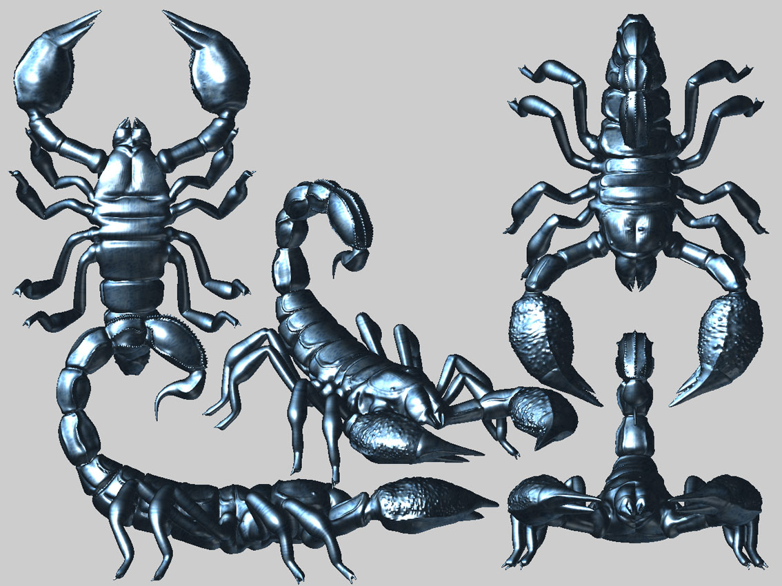 scorpion_04.jpg