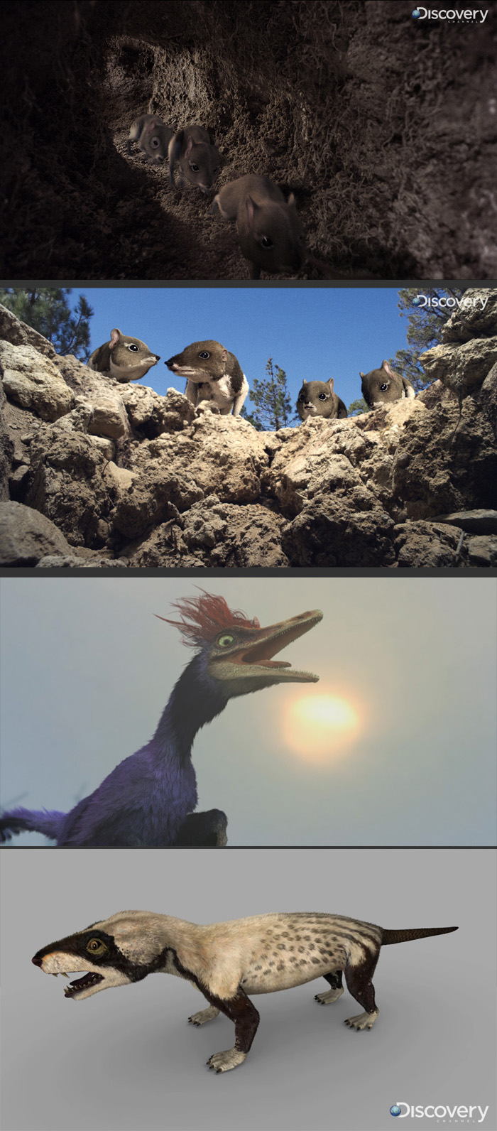 Animals(zbc).jpg