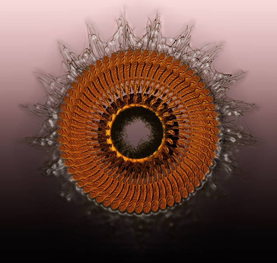 Dreamcatcher3.jpg