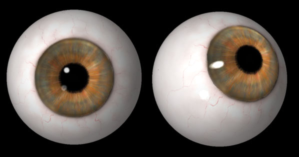 Eyes.jpg