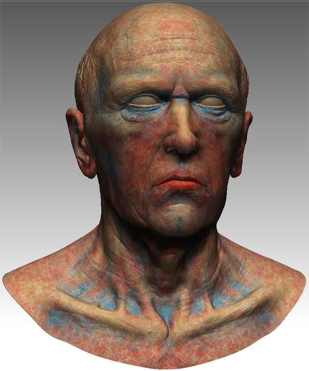 bust_texturing1.jpg