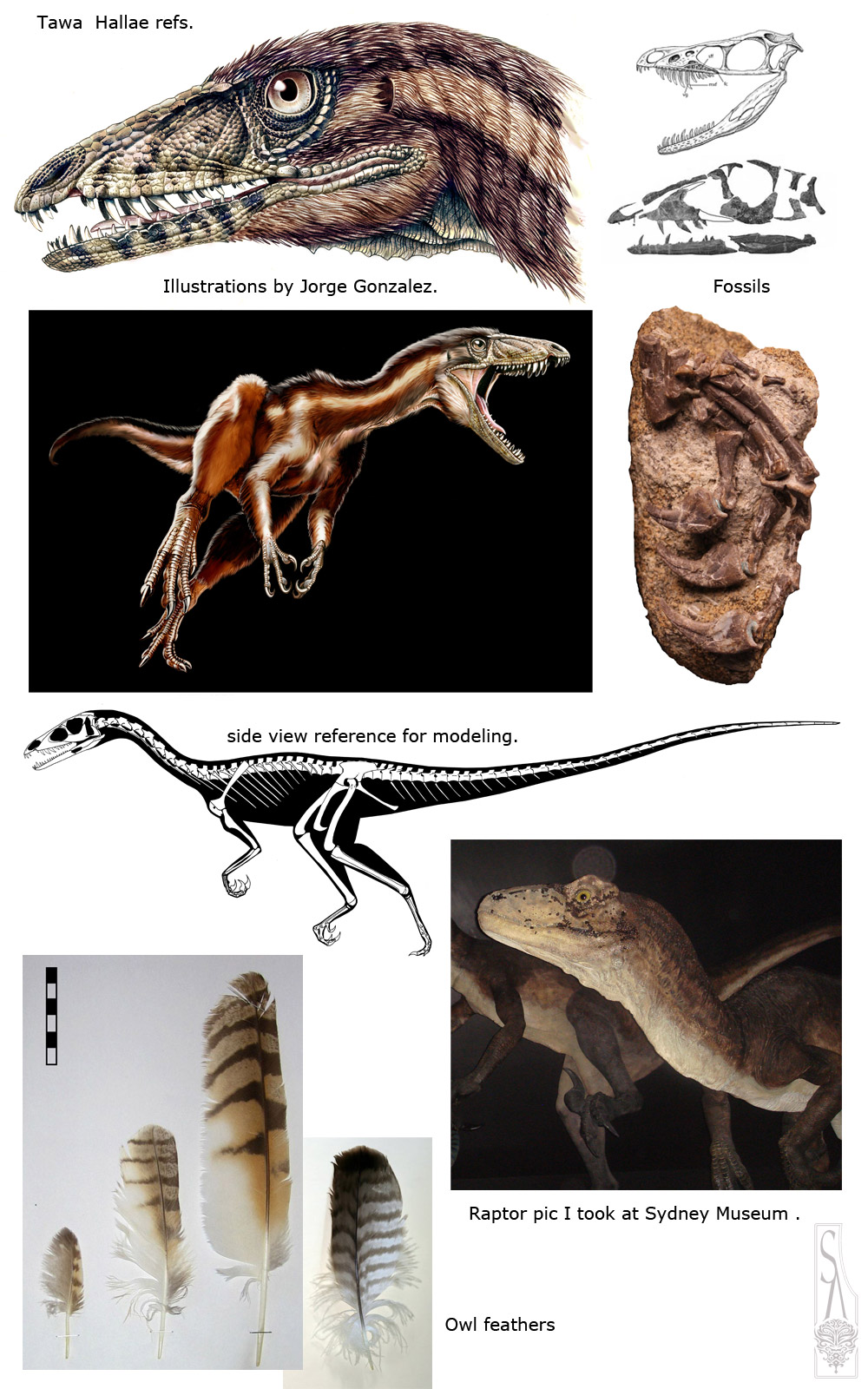 Tawa_Hallae_references.jpg