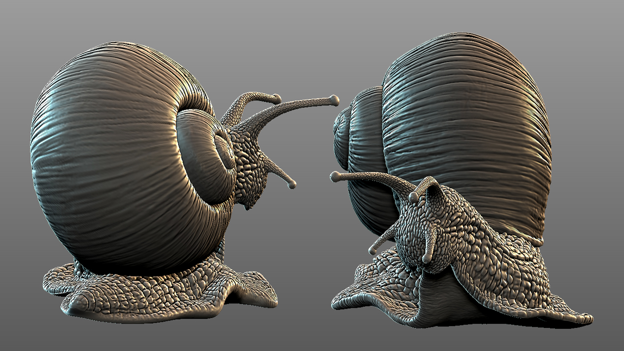 snail3d.jpg