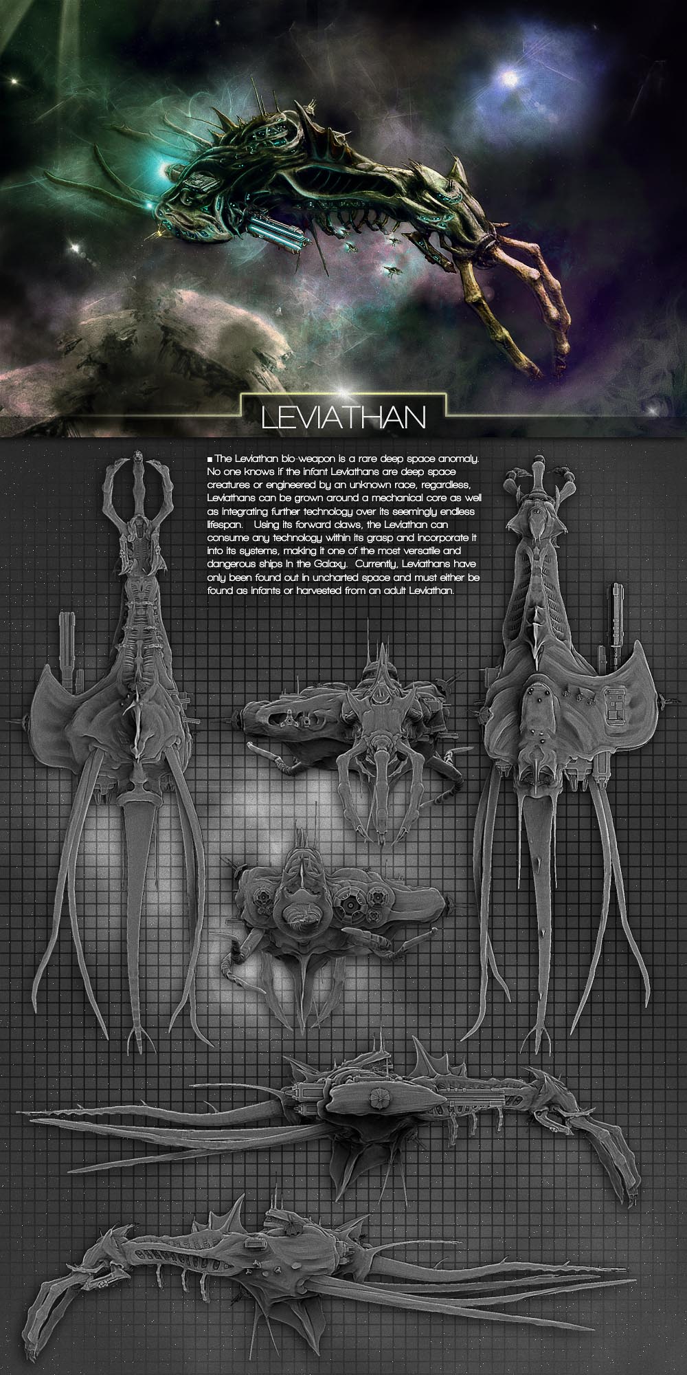 Kraken_Spread copy.jpg