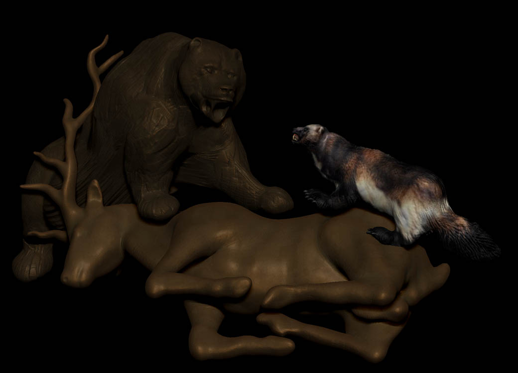WOLVERINE GRIZZLY CONFRONTATION.jpg