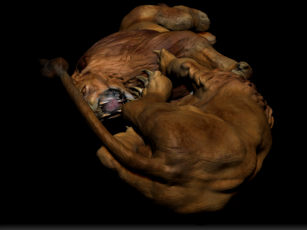 LION FIGHT 18.jpg