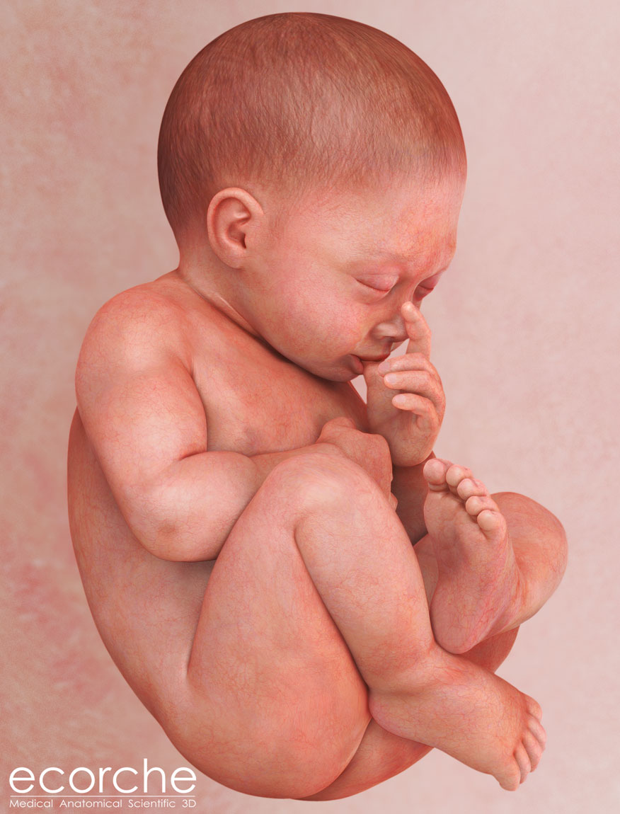 newborn.jpg