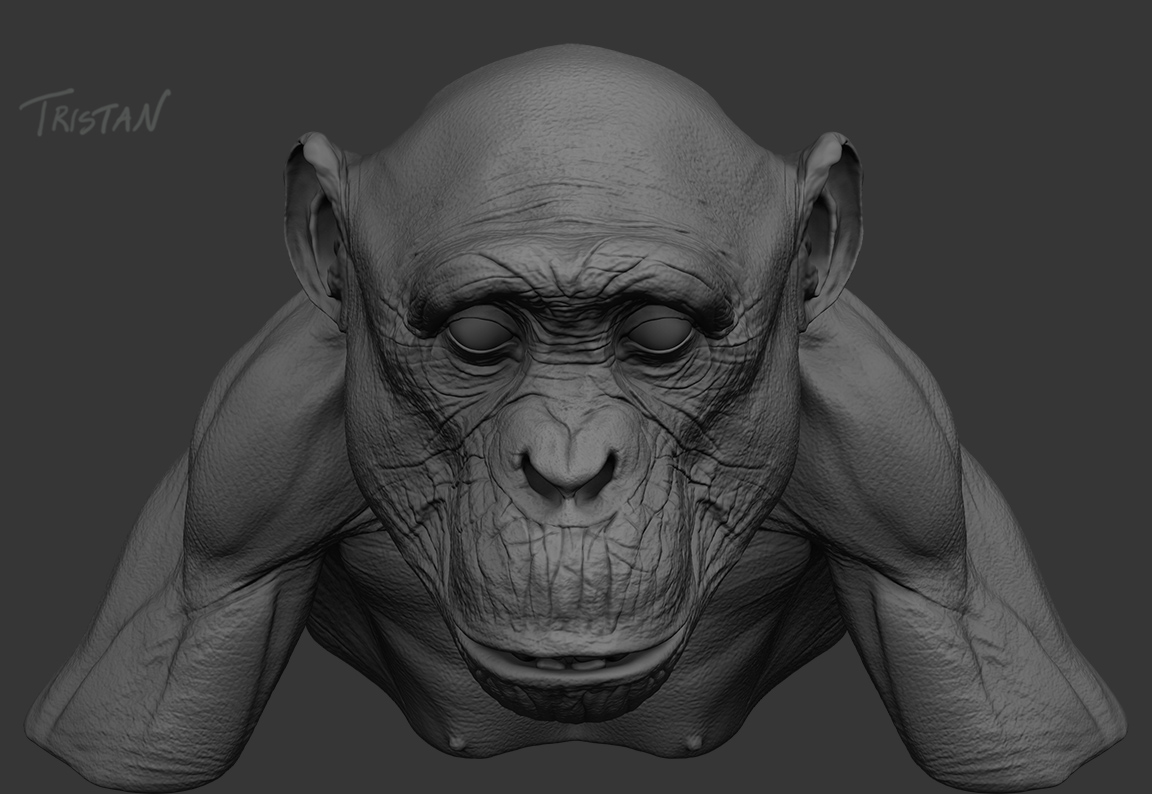 Monkey_WIP_02.jpg