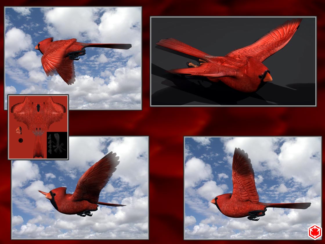 Cardinal.jpg