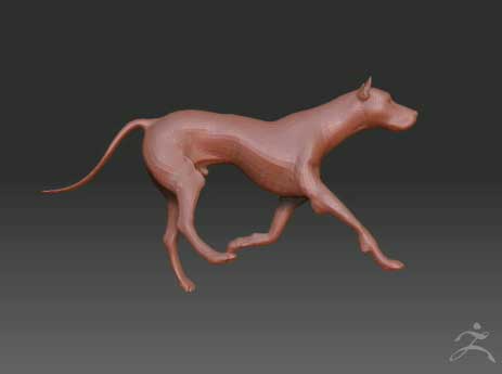Dog.jpg
