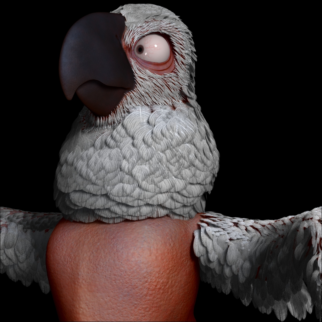 Test Fibermesh Feathers.jpg