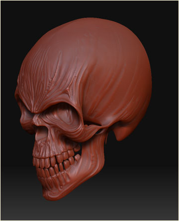 h-skull-2