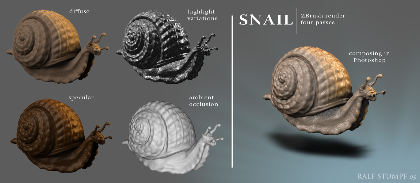 Snail#2.jpg