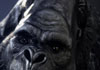 ZBC_THUMB.jpg