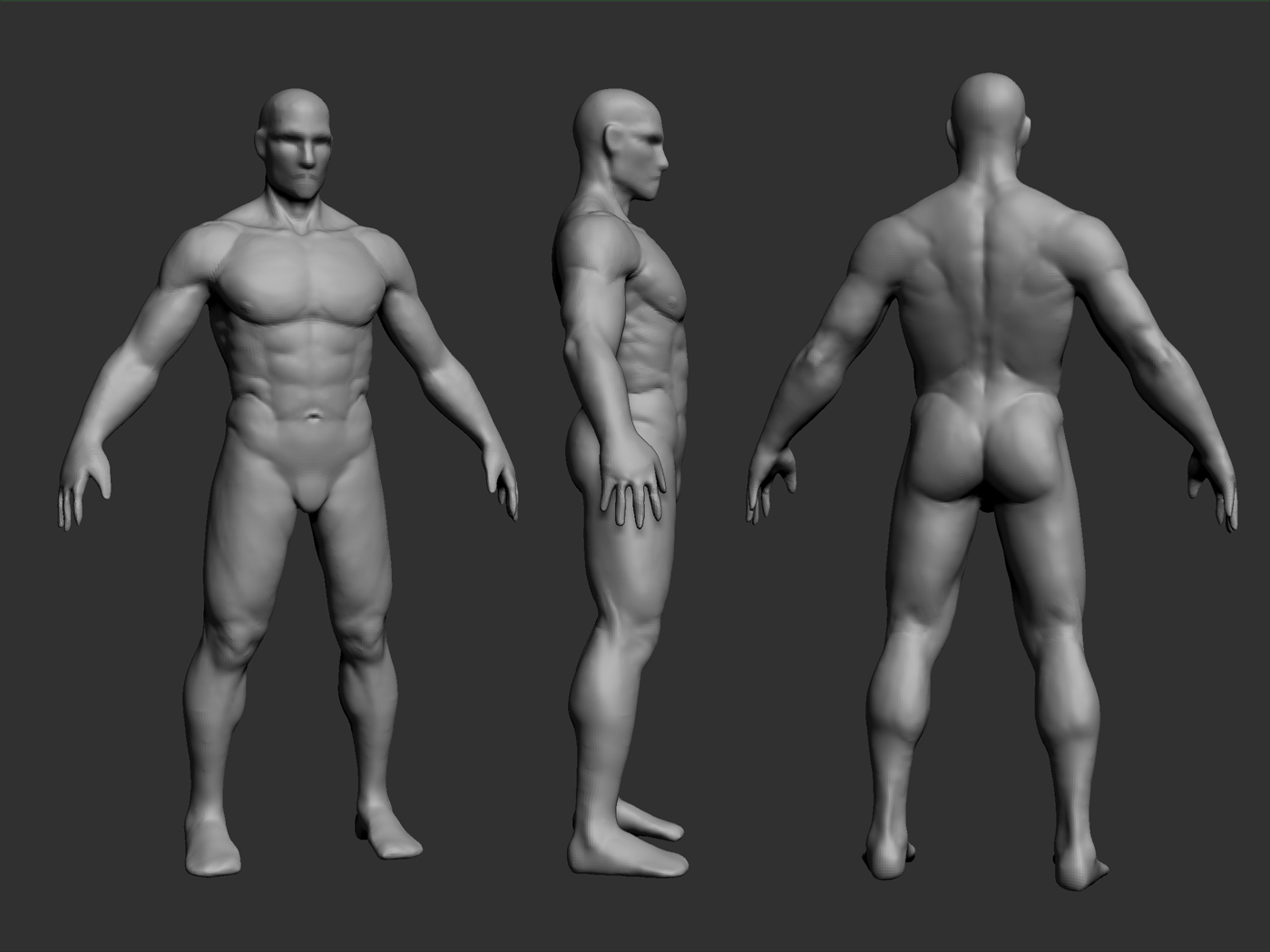 wipMale2.jpg