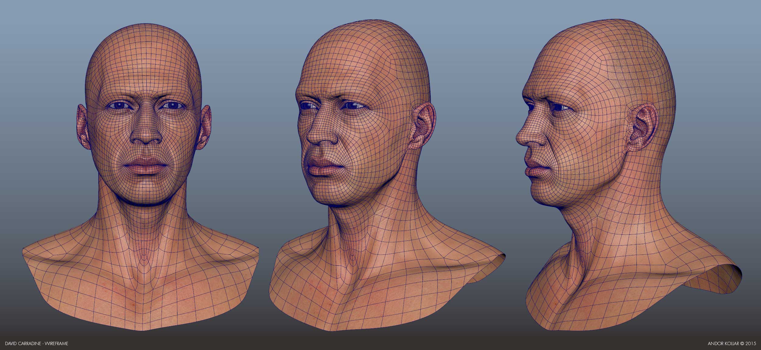 Andor-Kollar_Carradine-Head_wireframe_1.jpg