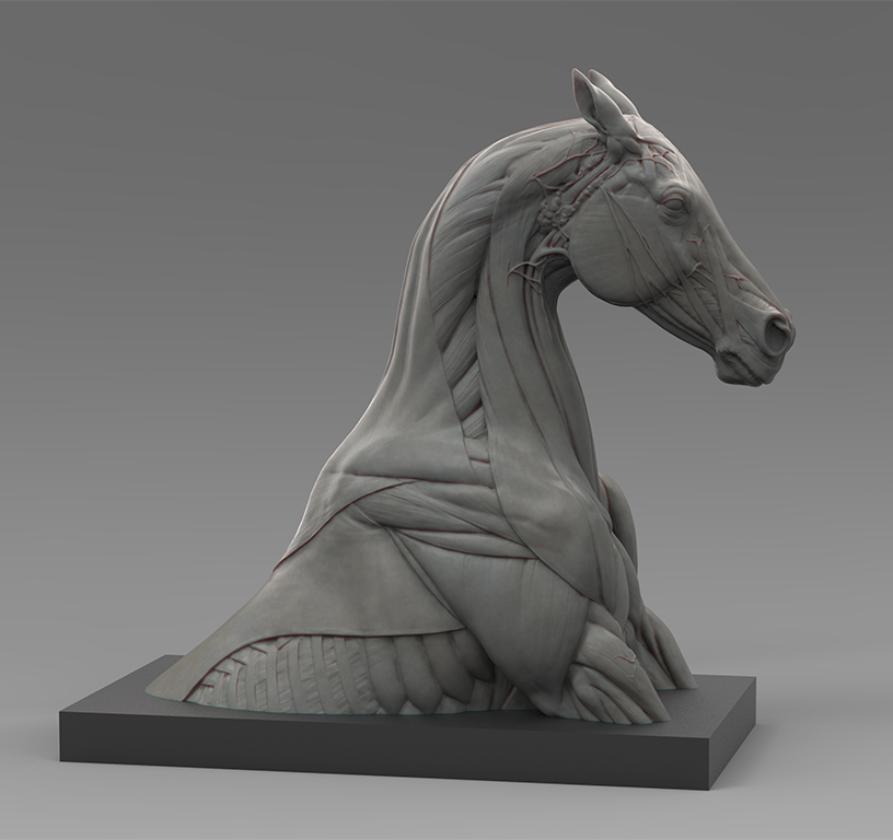 horse_bust_02_resize2.jpg
