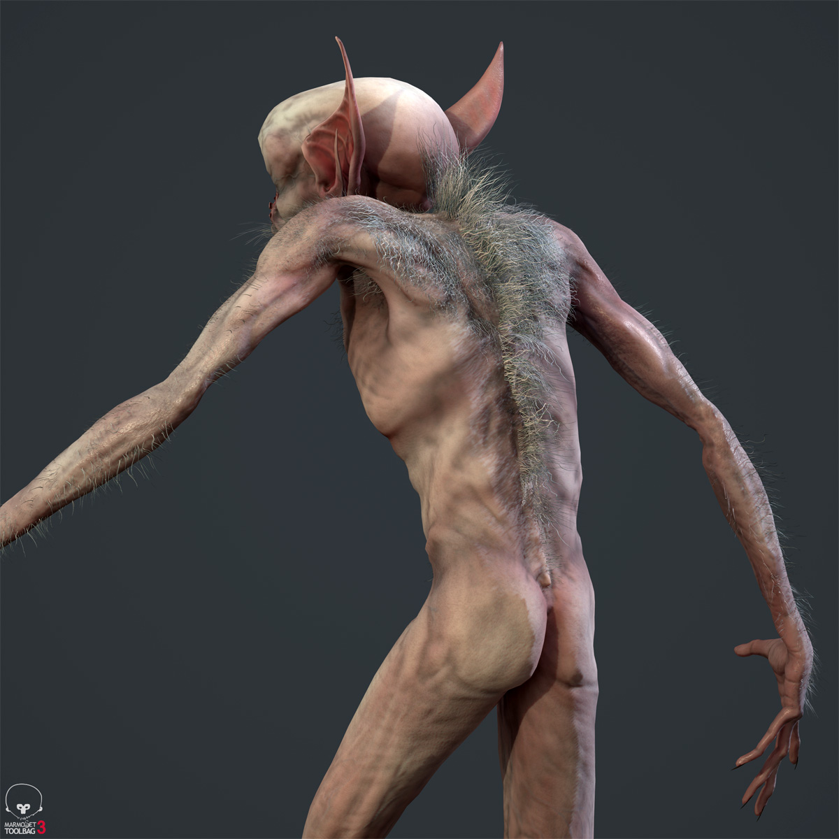 nocturnalis_marmo_posed_4_back_by_dirkwachsmuth.jpg
