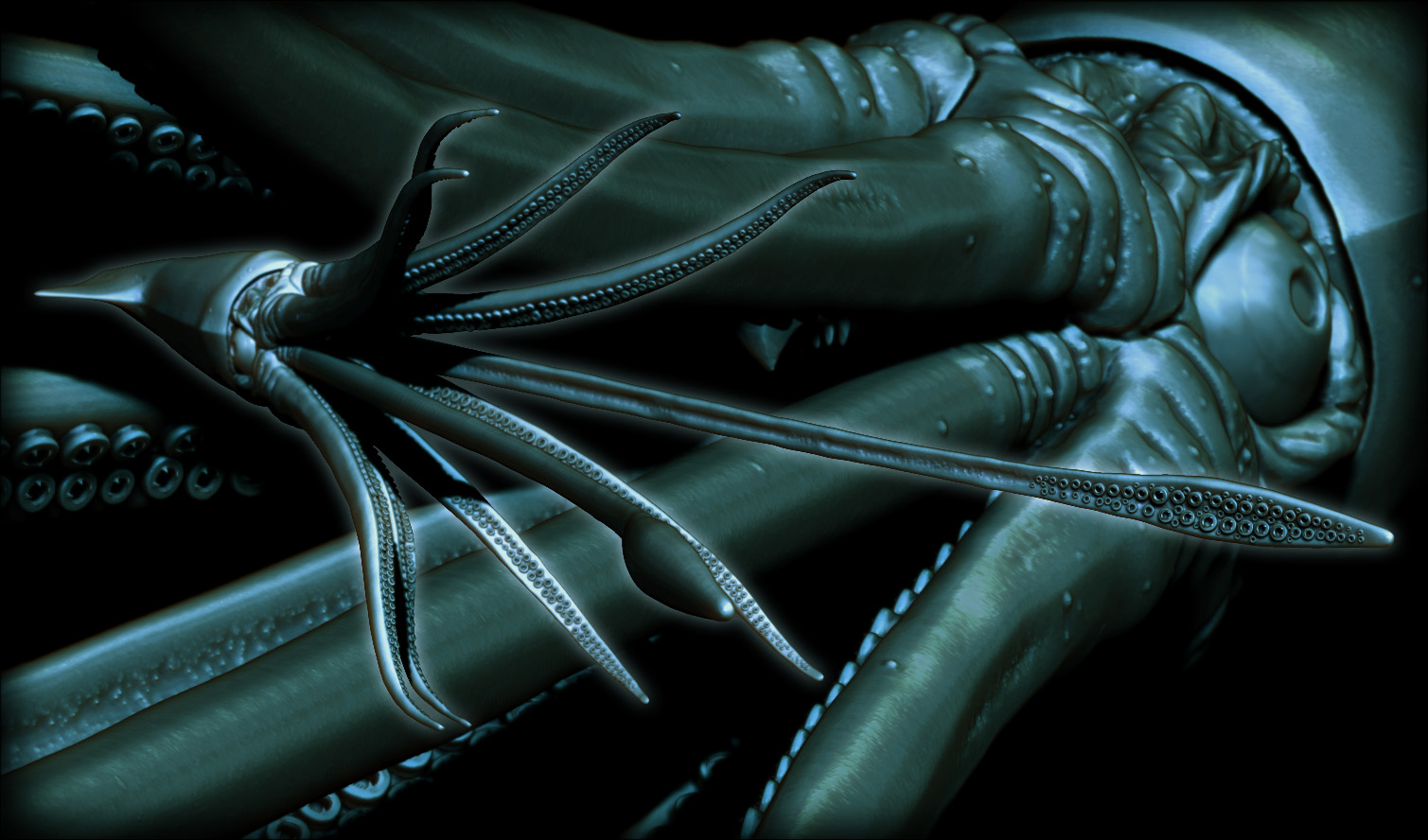 Squid_A01.jpg