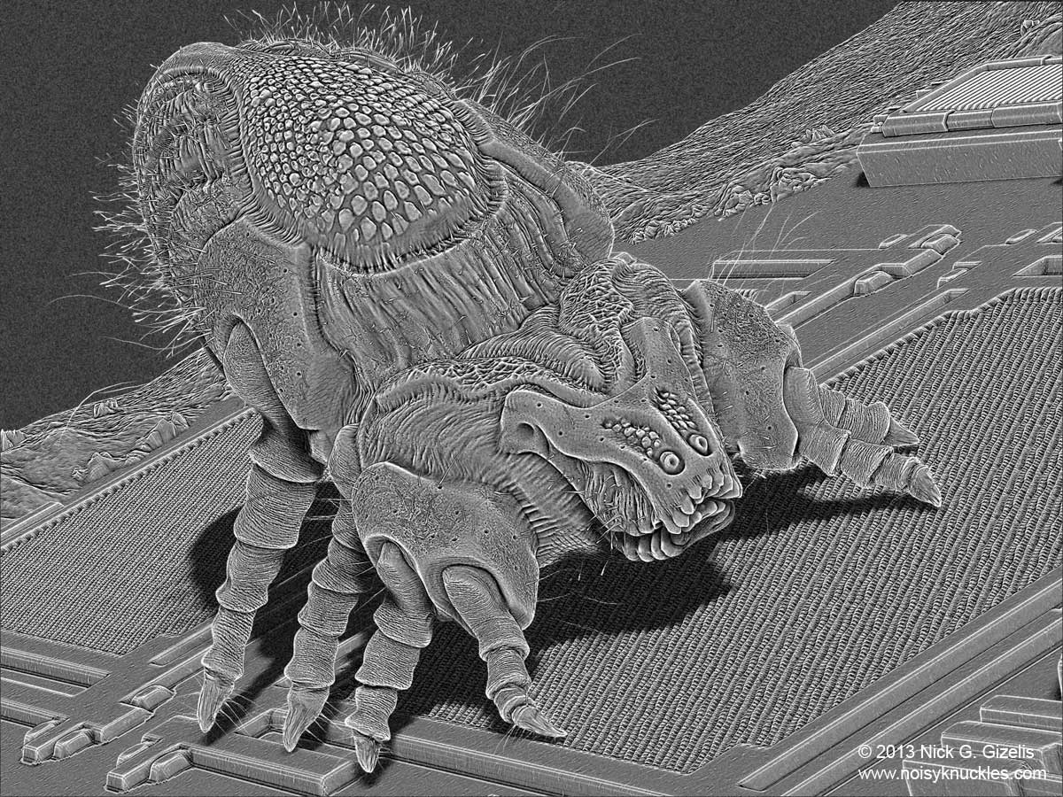 MICROLIFE_BW_4.jpg