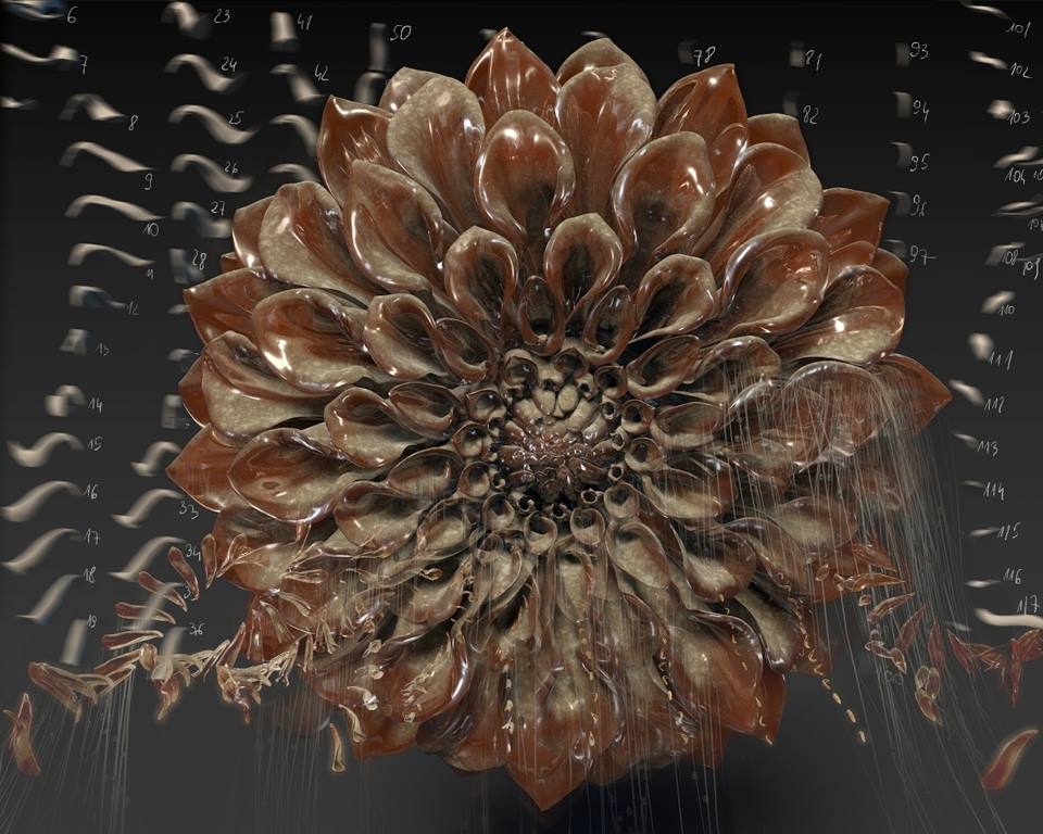 Dahlia dusty.jpg
