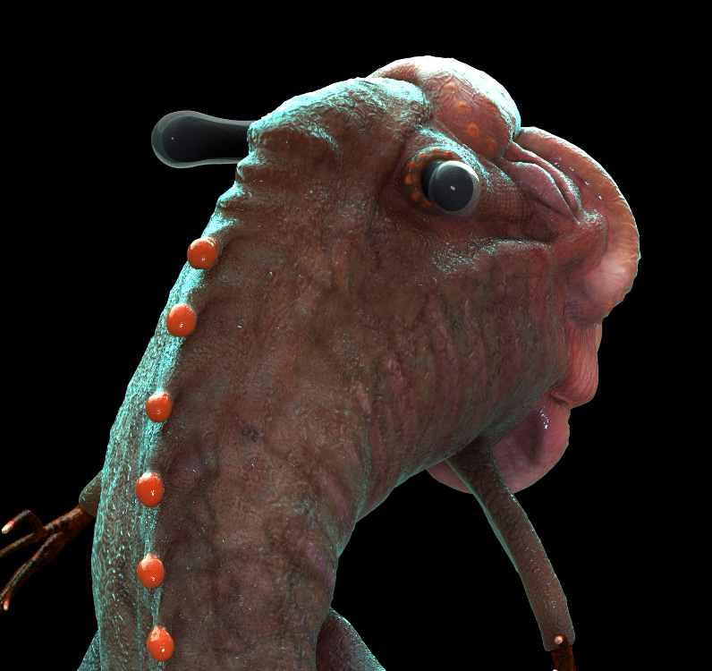 closeup.jpg