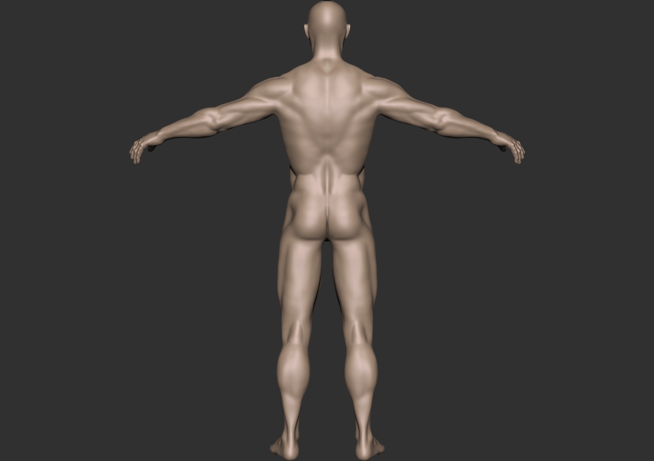 bodybuilder_back.jpg
