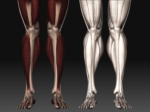 render.jpg