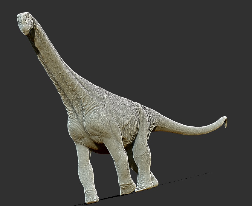 Camarasaurus4.jpg