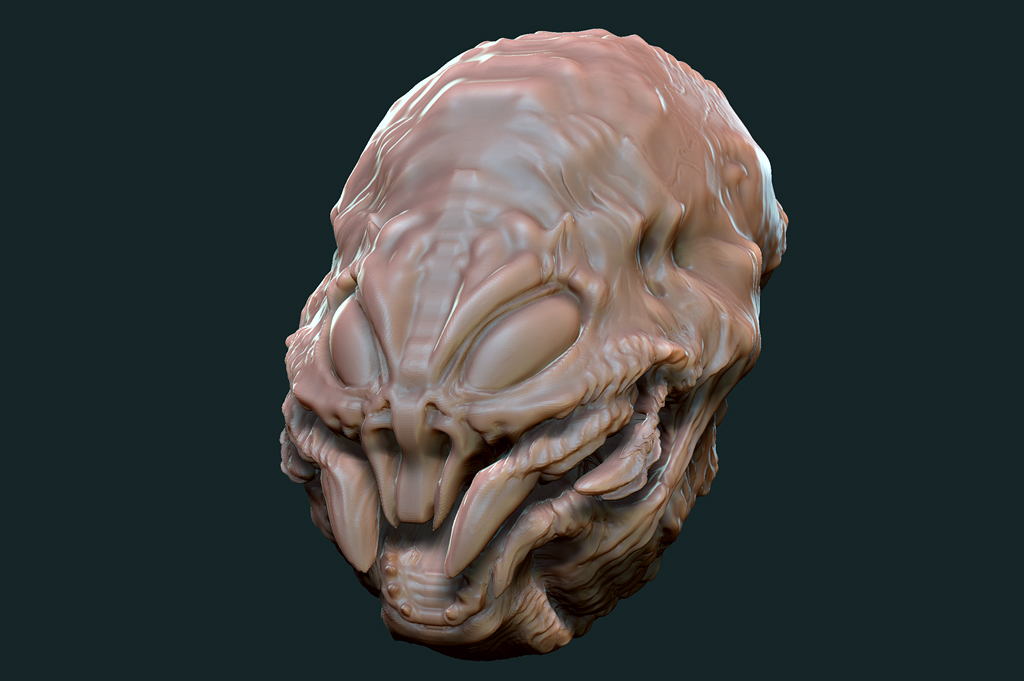 SaceFace1.jpg