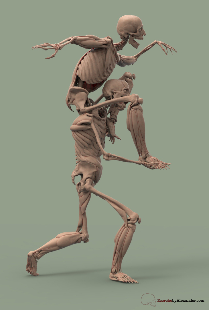 17_AlexanderKafoussiasE_4.jpeg