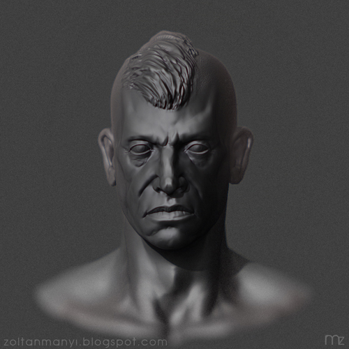 mohawkhead_bpr_small.jpg