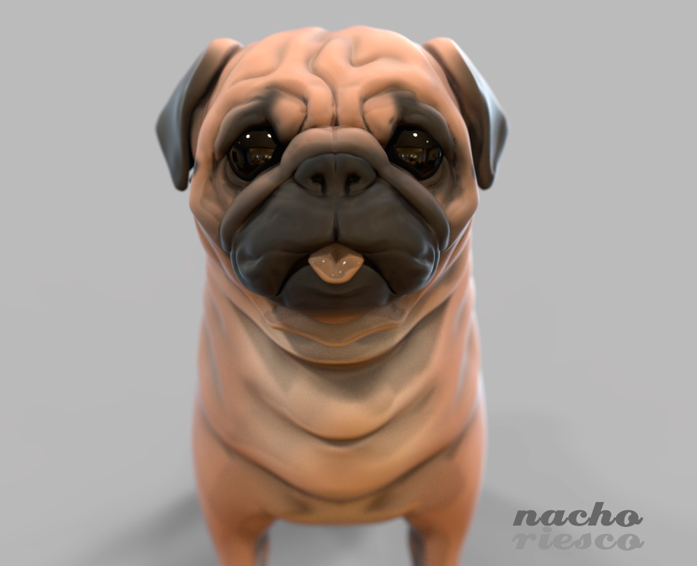 pug1.jpg