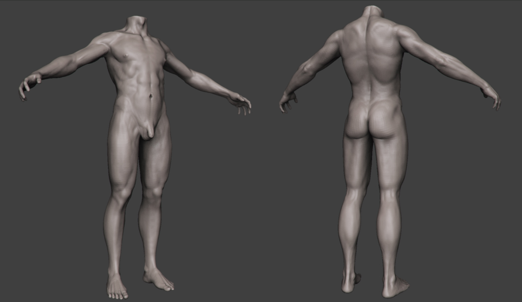 Anatomy 01.jpg