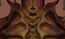 THUMB.jpg