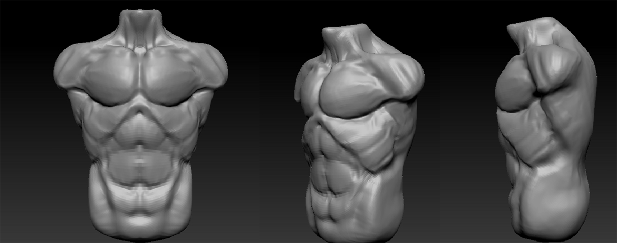 torso.jpg