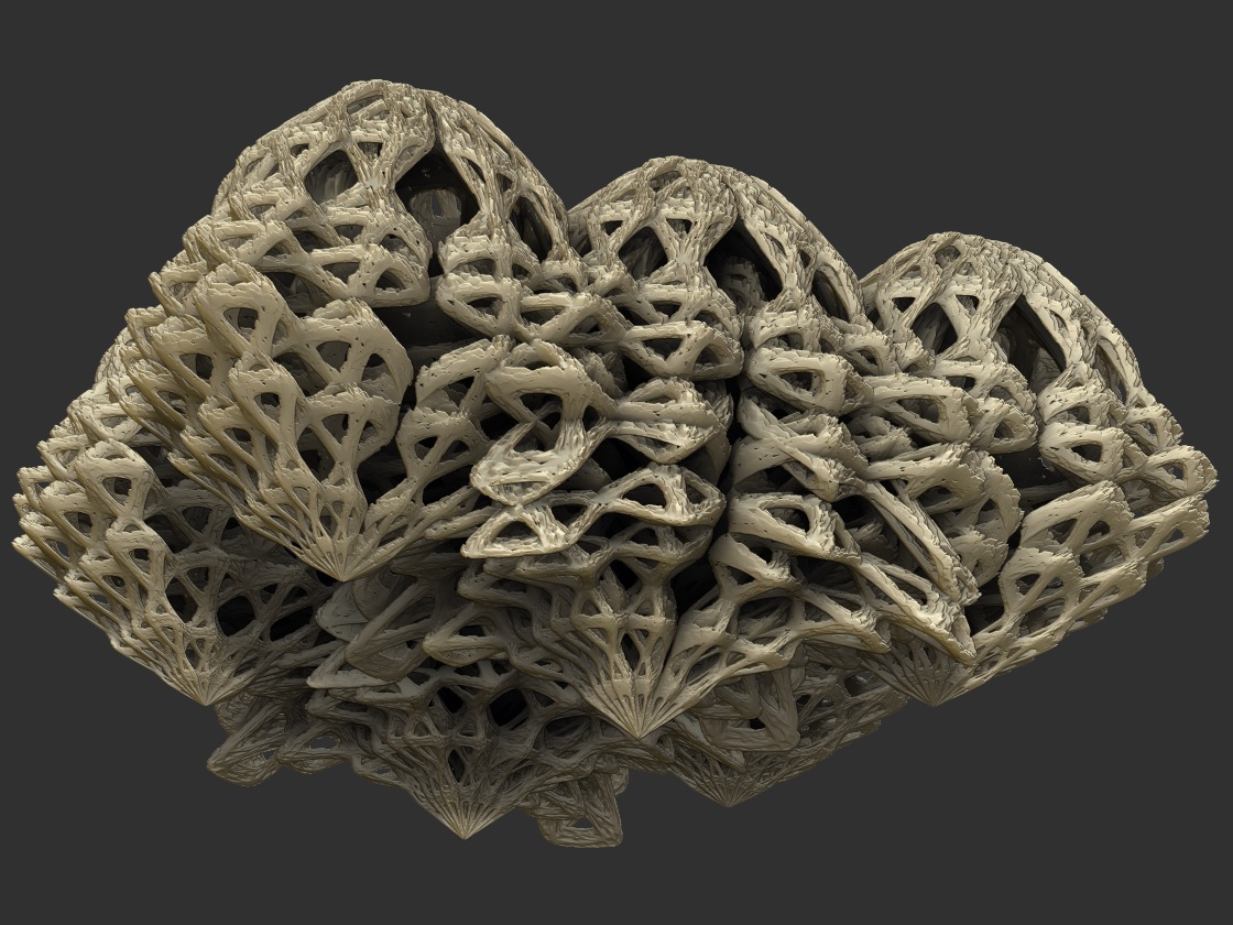 Underside.jpg