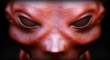 demonic5small2thumbnail.jpg