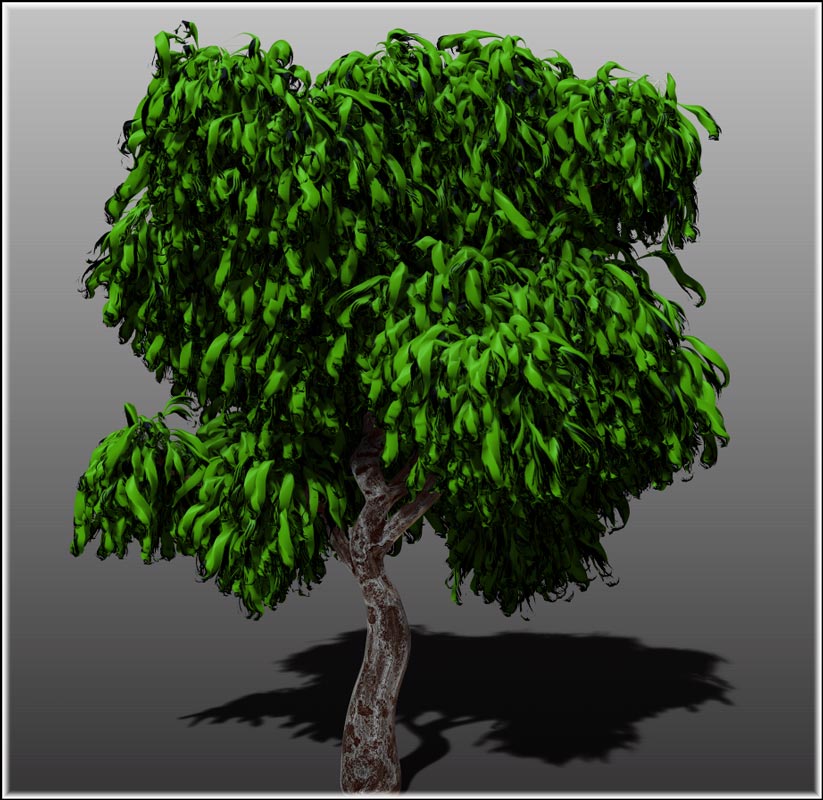 Ztree3-copy.jpg