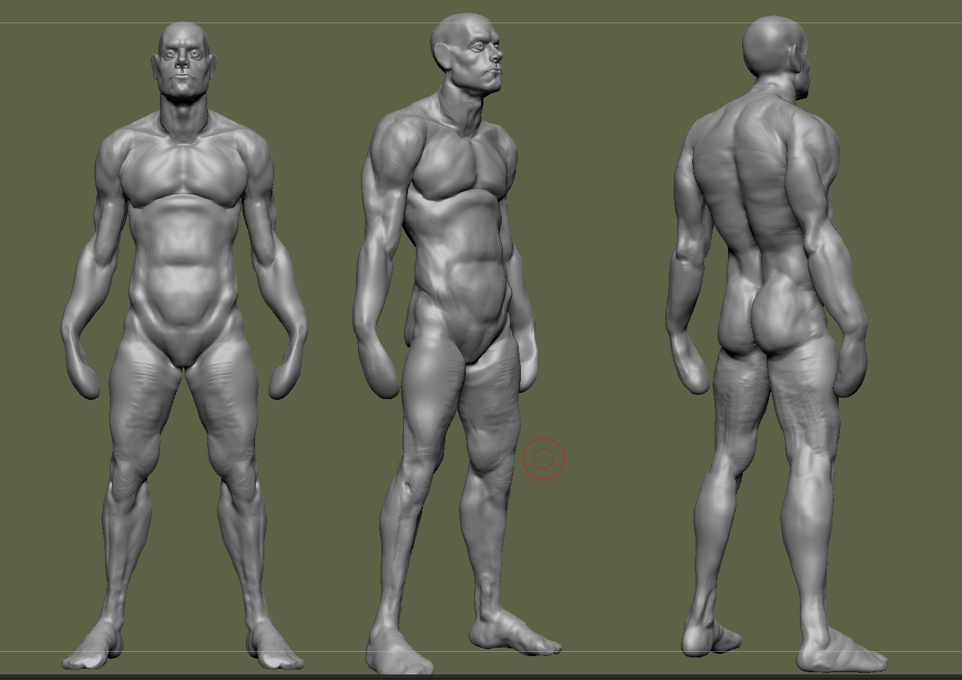 MaleBody.jpg