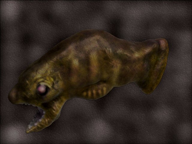 Insane Fish6.jpg