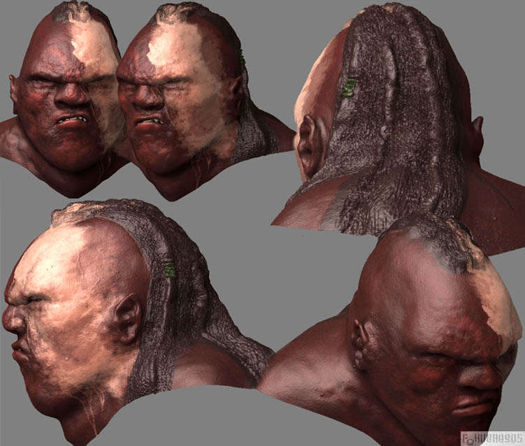 hairorcsheet.jpg