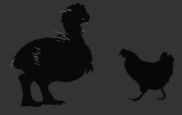 Choock Size.jpg